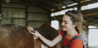 Mädchen putzt ein braunes Pferd