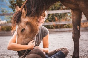 Pferd und Reiter haben Spass