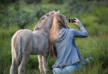 Reitertypen auf Social Media Titelbild Blogbeitrag Selfie mit Fohlen