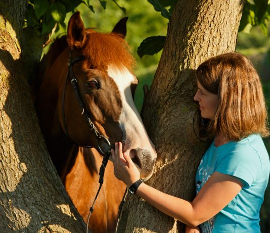 Pferdebesitzer Titelbild Blogbeitrag Frau mit ihrem Pferd